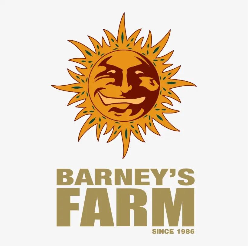 Barney's Farm feminisiert 3 Samen
