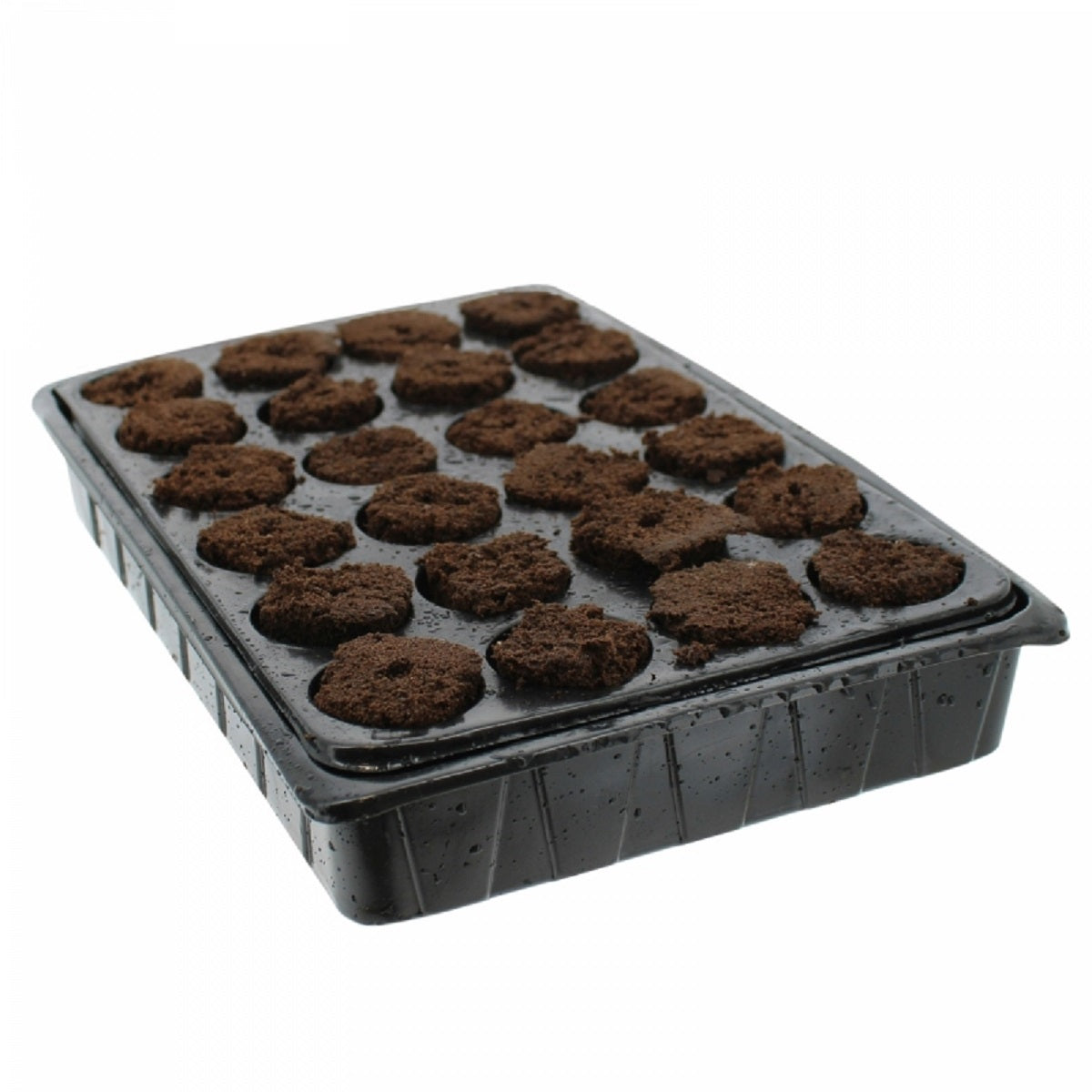 ROOT!T Sprouting Cubes 24Pcs